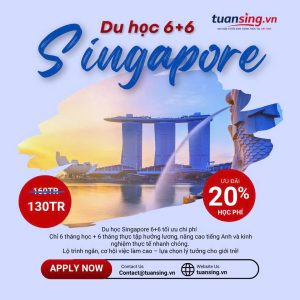 du học singapore hệ 6+6